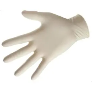 Latex Exam Gloves Powder Free Large Box/100